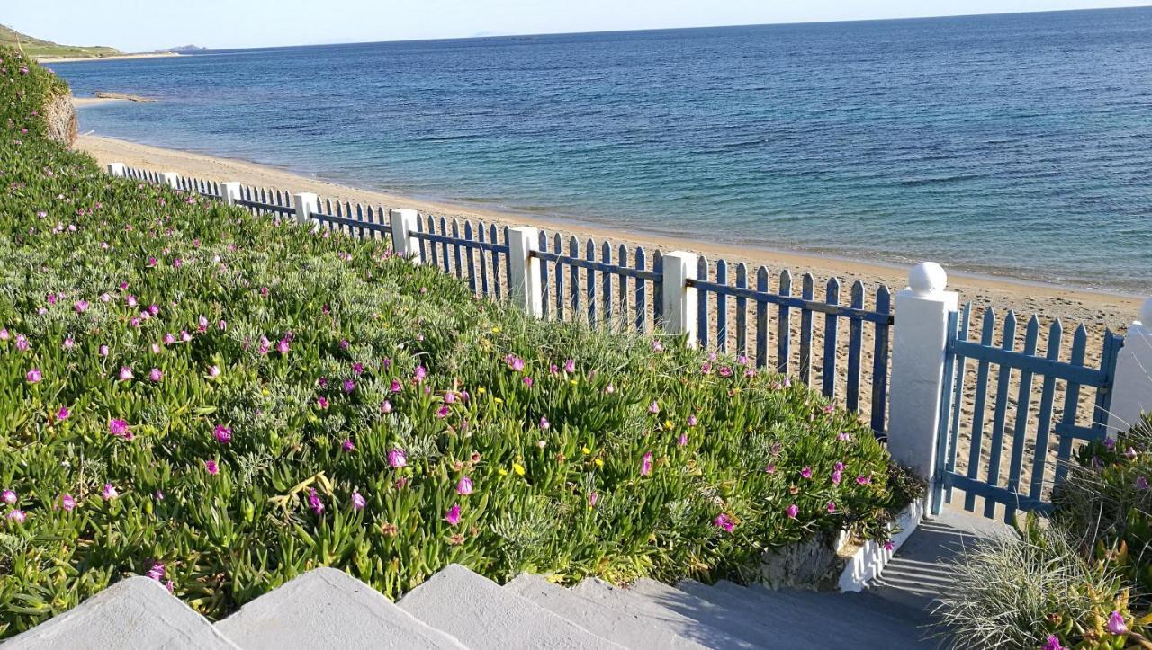הוילה סקירוס Anemos Seaside House מראה חיצוני תמונה