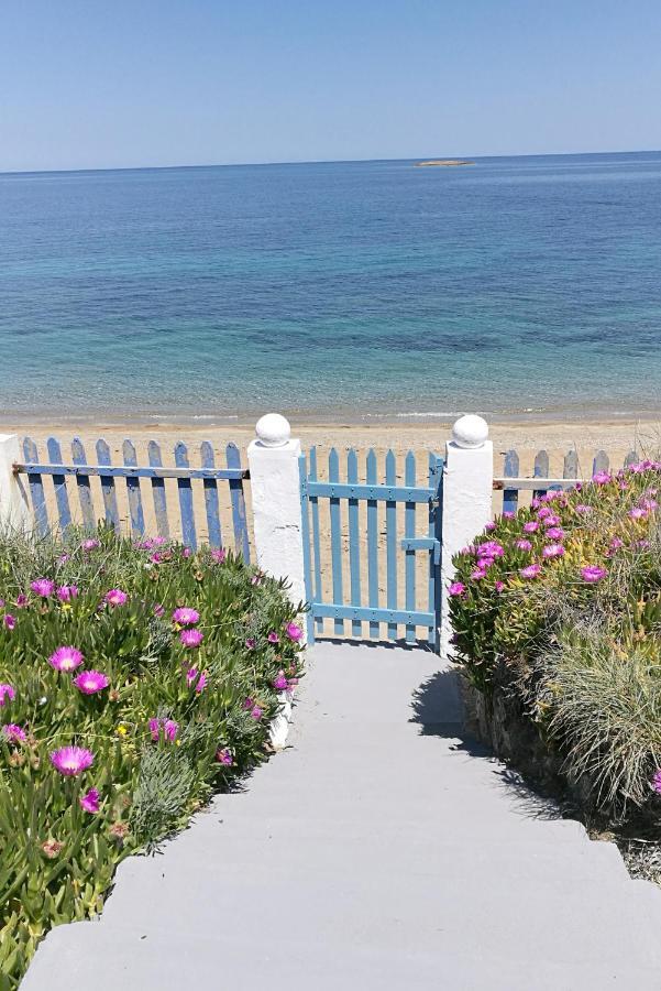 הוילה סקירוס Anemos Seaside House מראה חיצוני תמונה